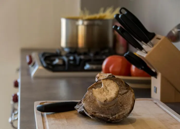 Patio Complex 别墅 *